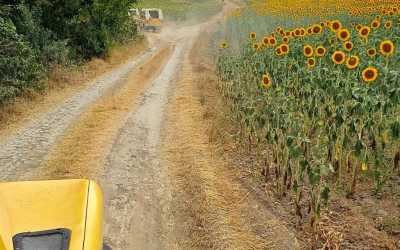 Złote Piaski - obóz Chill out Zone - All Inclusive Hotel Carnival***, 8 dni 14-18 lat